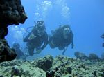 Hawaii Scuba divng 23