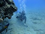 Hawaii Scuba divng 31