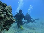 Hawaii Scuba divng 32