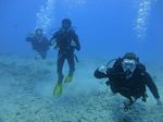 Hawaii Scuba divng 38