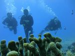 Hawaii Scuba divng 42