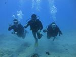 Hawaii Scuba divng 43