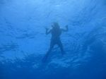 Hawaii Scuba divng 46