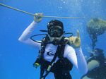 Hawaii Scuba divng 54