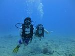 Hawaii Scuba divng 67