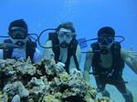 Hawaii Scuba divng 70