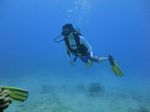 Hawaii Scuba divng 72