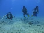 Hawaii Scuba divng 75