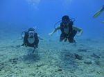 Hawaii Scuba divng 76