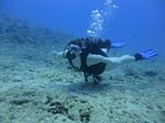 Hawaii Scuba divng 77