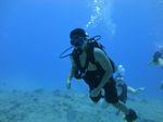 Hawaii Scuba divng 79