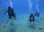 Hawaii Scuba divng 80