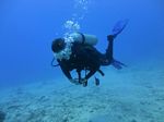 Hawaii Scuba divng 12