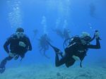 Hawaii Scuba divng 16