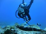 Hawaii Scuba divng 18