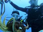 Hawaii Scuba divng 01