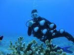 Hawaii Scuba divng 21