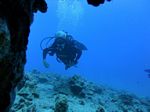 Hawaii Scuba divng 26