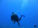 Hawaii Scuba divng 30