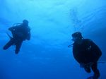 Hawaii Scuba divng 34