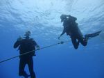 Hawaii Scuba divng 35