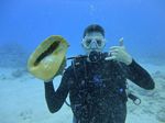 Hawaii Scuba divng 70