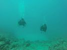 Hawaii Scuba divng 69