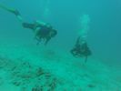 Hawaii Scuba divng 73