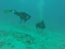 Hawaii Scuba divng 74