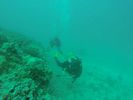 Hawaii Scuba divng 75