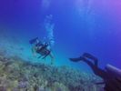 Hawaii Scuba divng 92