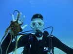 Hawaii Scuba divng 11