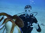 Hawaii Scuba divng 12