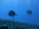 Hawaii Scuba divng 14
