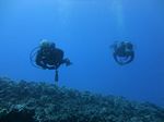 Hawaii Scuba divng 14