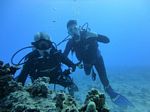 Hawaii Scuba divng 16