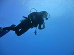 Hawaii Scuba divng 20