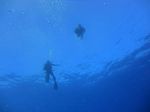 Hawaii Scuba divng 24