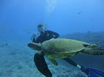 Hawaii Scuba divng 27