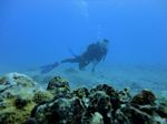 Hawaii Scuba divng 29