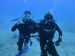 Hawaii Scuba divng 33