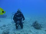 Hawaii Scuba divng 34