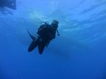 Hawaii Scuba divng 37