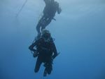 Hawaii Scuba divng 03