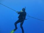 Hawaii Scuba divng 40