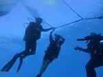 Hawaii Scuba divng 41