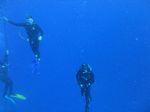 Hawaii Scuba divng 42