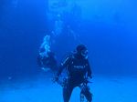 Hawaii Scuba divng 48