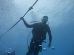 Hawaii Scuba divng 04