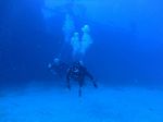 Hawaii Scuba divng 51